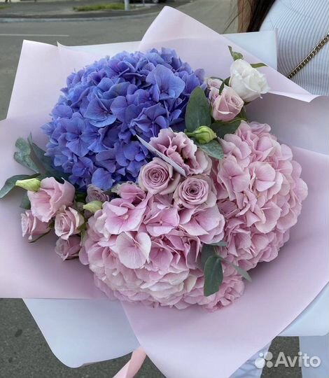 Гортензия букеты цветы доставка 24/7