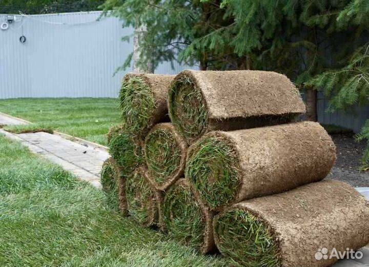 Рулонный газон напрямую от производителя