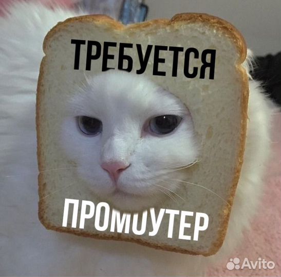 Подработка с 14 лет промоутер