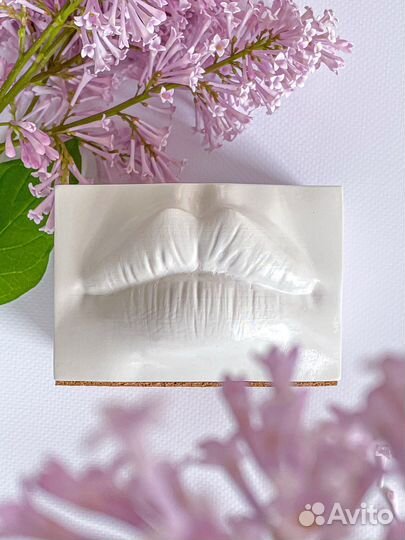 Органайзер для косметики «Губы Джоли»