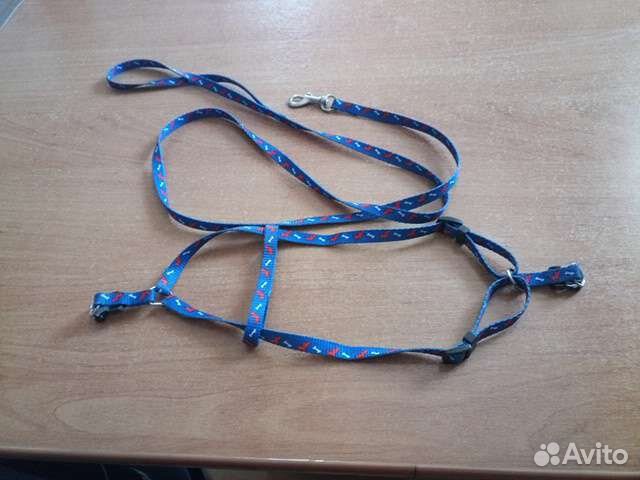 Кошачий проводок с ошейником