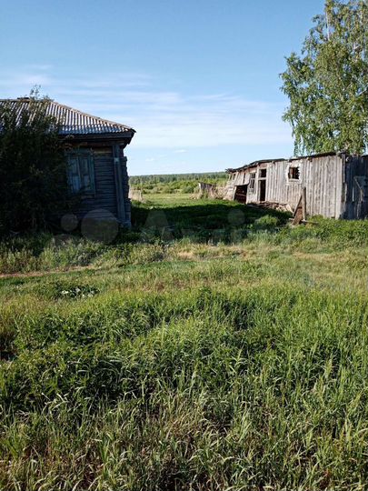 Дом 50 м² на участке 40 сот.