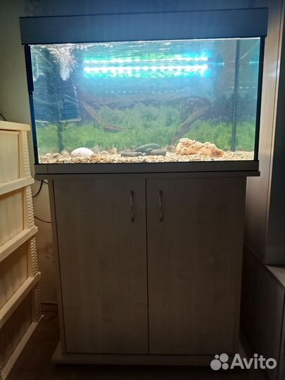 Аквариум 100л с тумбой