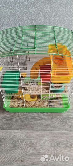 Джунгарский хомяк с клеткой