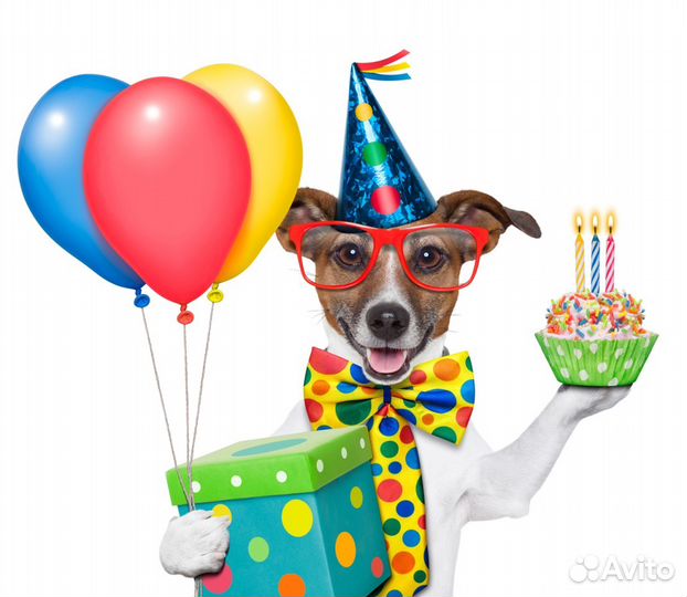 Юбилей свадьба Ведущий тамада