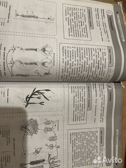 Наглядный школьный курс биология