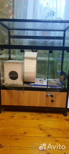 Клетка-витрина для шиншилл/белок/дегу и т.д