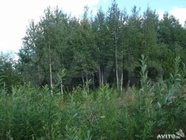 Участок 10 сот. (СНТ, ДНП)