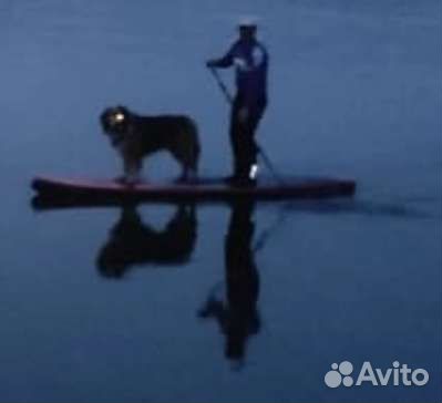 Доска гребная новая. Sapboard