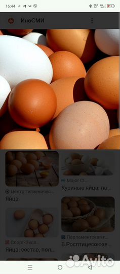 Домашние куриные яйца