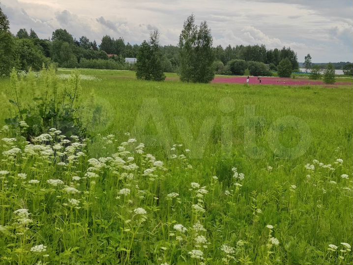 Участок 6,19 га (СНТ, ДНП)