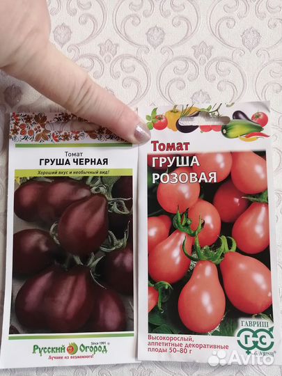 Рассада помидор