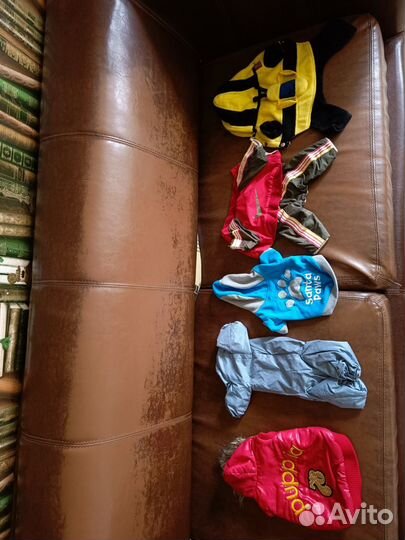 Одежда для собак,ошейники,обувь,для груминга