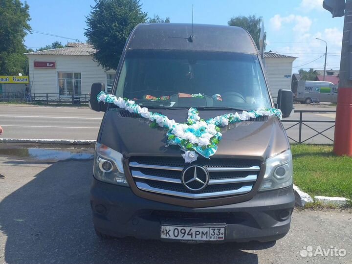 Поездки на море.Пассажирские перевозки