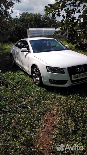 Трансфер межгород