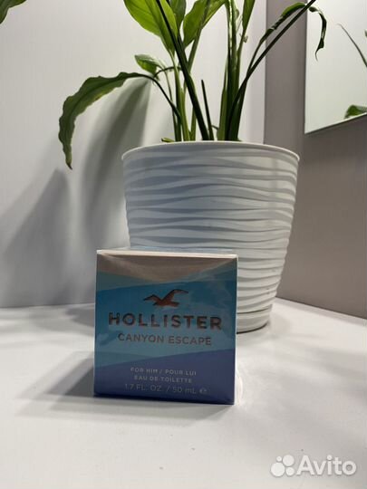 Парфюм Hollister Canyon Escape