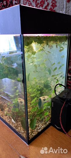 Продаю аквариум 140л и панорамный аквариум 180л