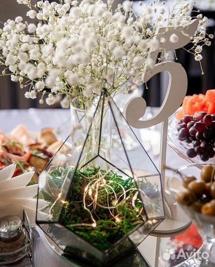 Флорариум Капля