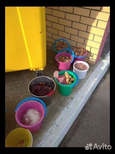 Отходы пищевые