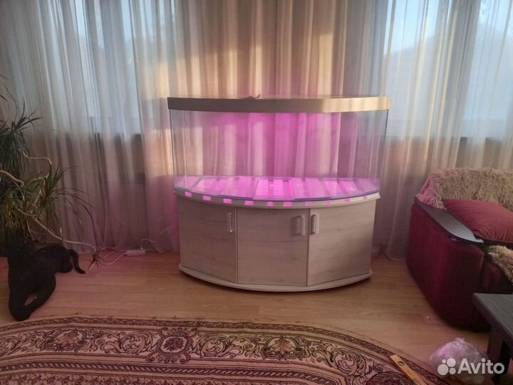 Гнутые аквариумы