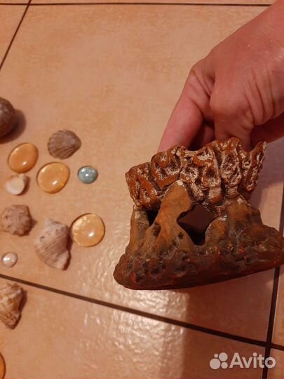 Декор для аквариума