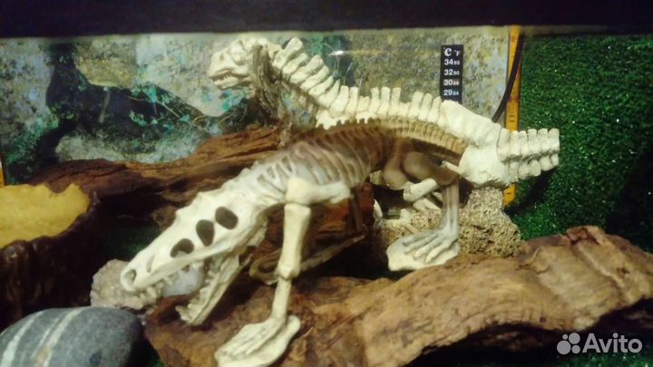 Фигурка Скелет динозавра