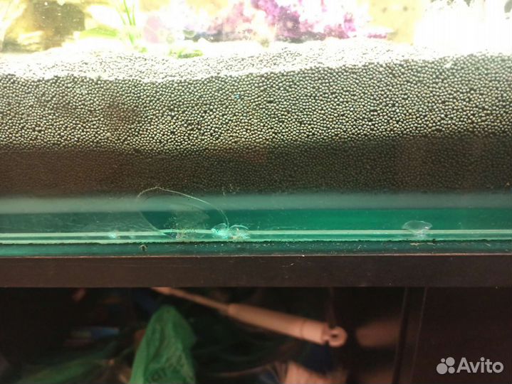 Аквариум со всем содержимым