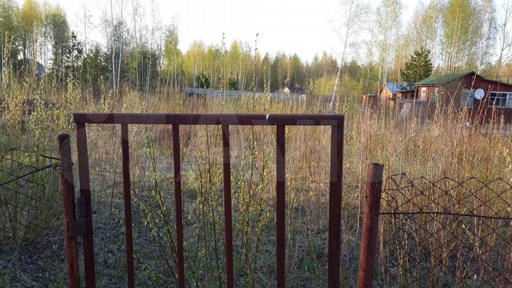 Участок 16 сот. (СНТ, ДНП)