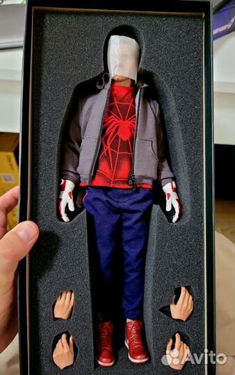 Tobey Maguire/ Spider man 1/6 Flashpoint (Guarder)