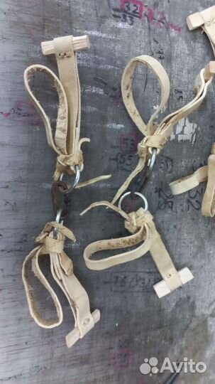 Недоуздоки узда седло для лошади и жеребят