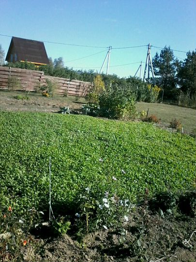 Участок 10,73 га (СНТ, ДНП)