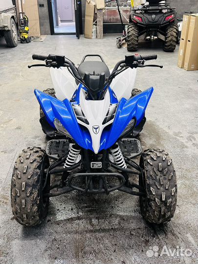 Квадроцикл motoland (мотоленд) 200S(синий)