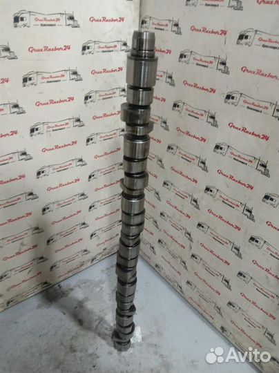 Вал распределительный DD14 6- поколения 23535545