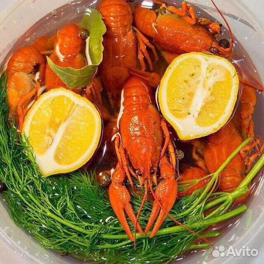 Продам живые Раки