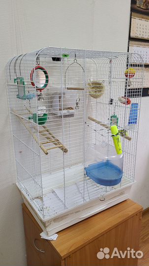 Волнистые попугаи +2 клетки