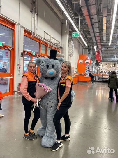 Мишка тедди