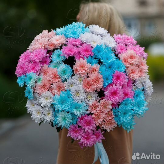 Хризантемы букет доставка 51 25 15