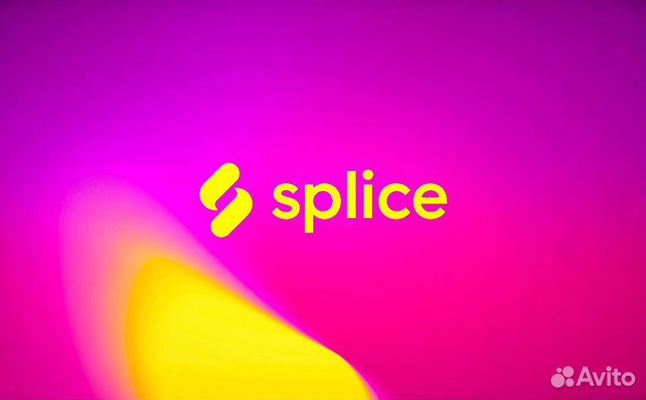 Splice Sound+ семплы звуки 3 месяца