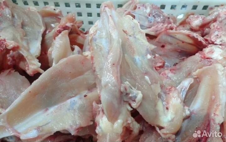 Куриные кости. Каркасы