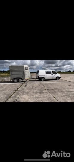 Перевозка лошадей