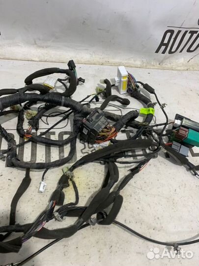 Проводка подкапотная Chevrolet Lacetti F14D3 2009