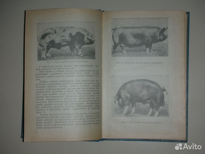 Книга Практикум по свиноводству, Москва, 1986 год