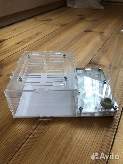 Муравьиная ферма бу