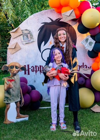 Аниматор гарри поттер Казань