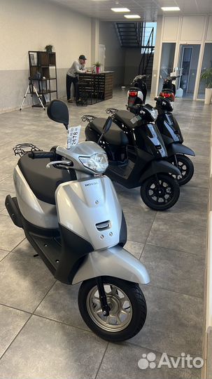 Honda Tact 2022