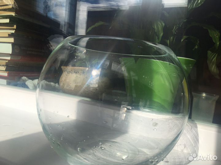 Аквариумные рыбки