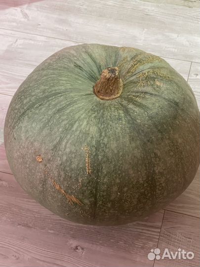 Тыква большая