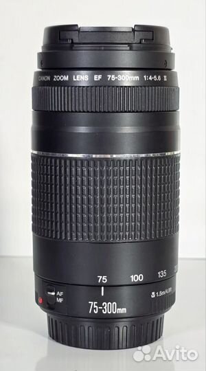 Canon EF 75-300mm f/4-5.6 III