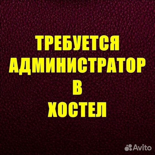 Администратор гостиницы,хостел