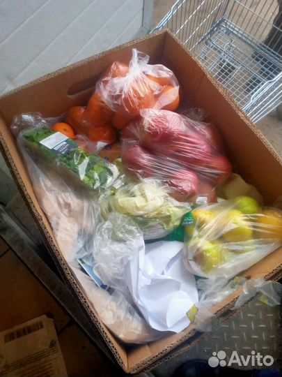 Корма для животных оптом